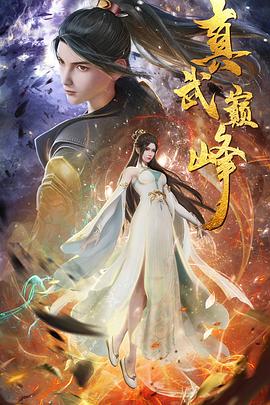 云南seo软件多少钱